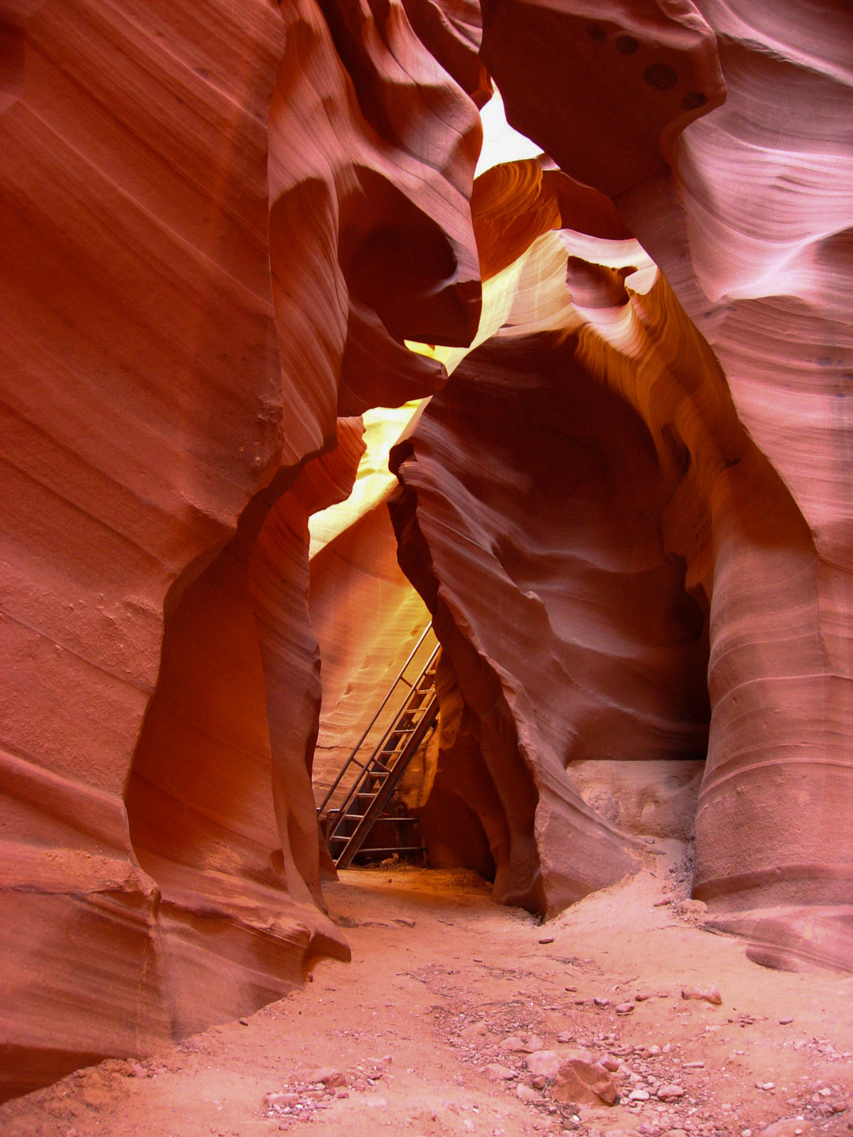 02 USA 2008 fabien et leslie 1841